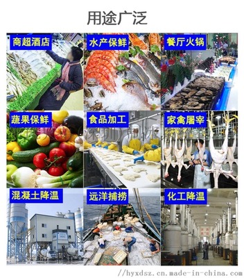 商用片冰機 500公斤片冰機