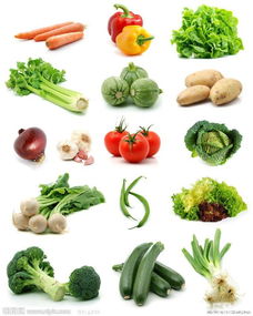 佛山蔬菜批發配送興和餐飲管理工廠食堂承包 快餐配送